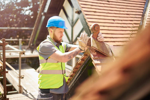 Professional Roofing Contractor in Mayer, MN