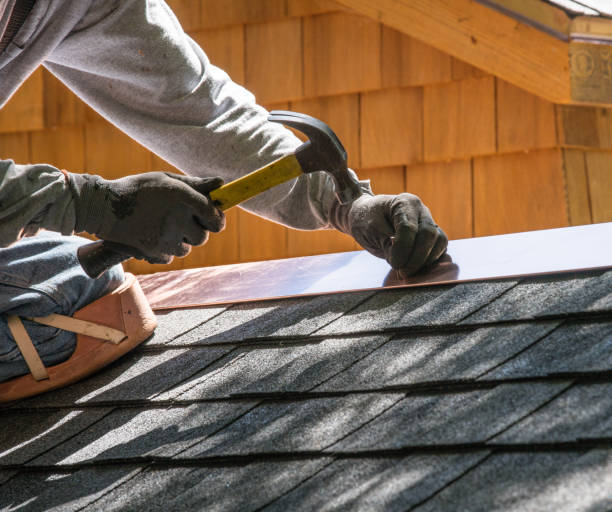Best Flat Roof Repair Services  in Mayer, MN